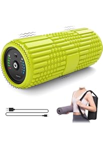 電動コロコロ ニトムズ 特典付 二トムズ colocolo5656 本体L どっちも用 超強力